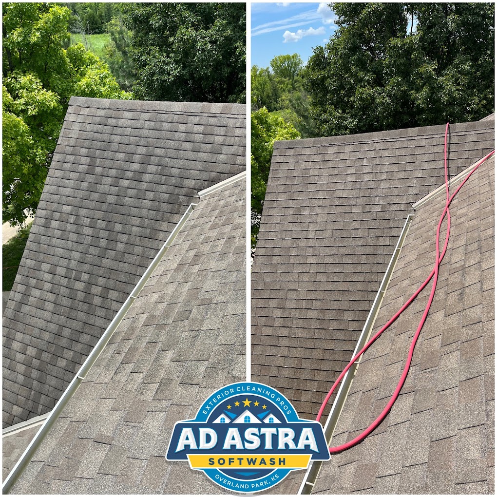 roof cleaning