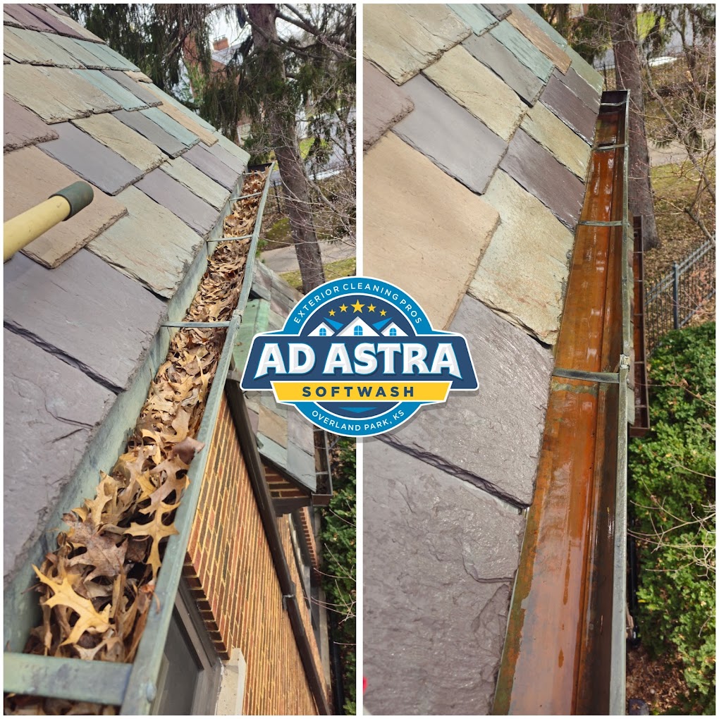 gutter cleaning